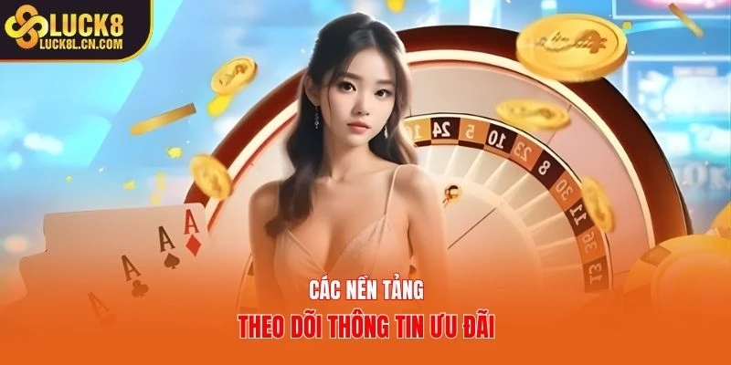 Các nền tảng theo dõi thông tin ưu đãi
